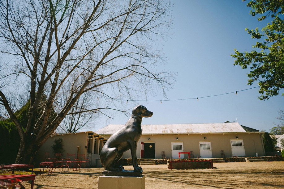 4 Cape_Town_Wedding_Photographer__6202