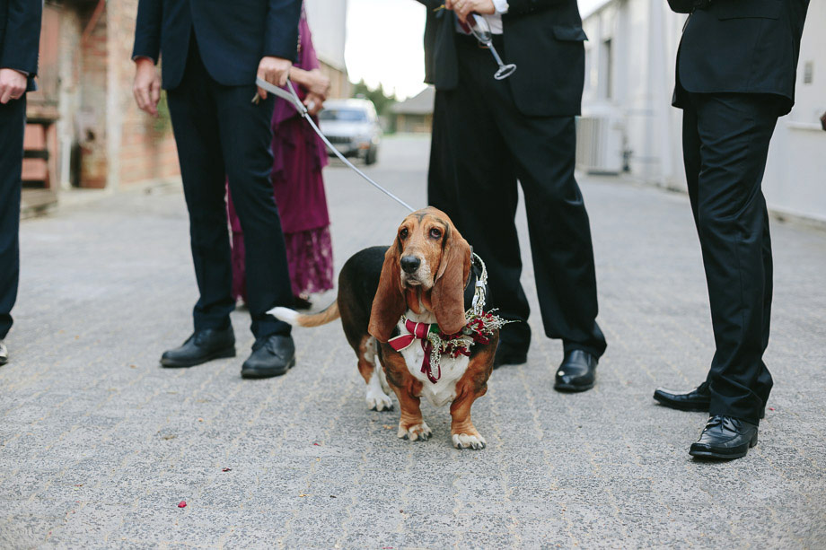 Jani-B-Documentary-Wedding-Photographer-Cape-Town-61a