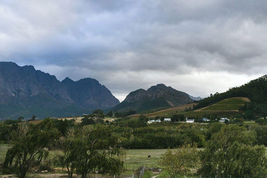 Jani-B-Documentary-Wedding-Photographer-Cape-Town-68