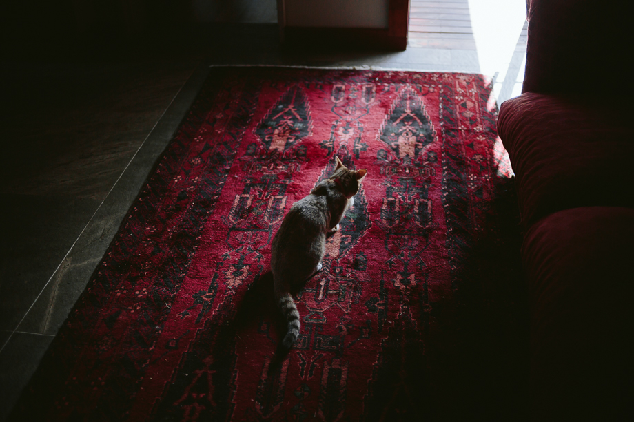 Cape Town Documentary Wedding photographer Jani B-41