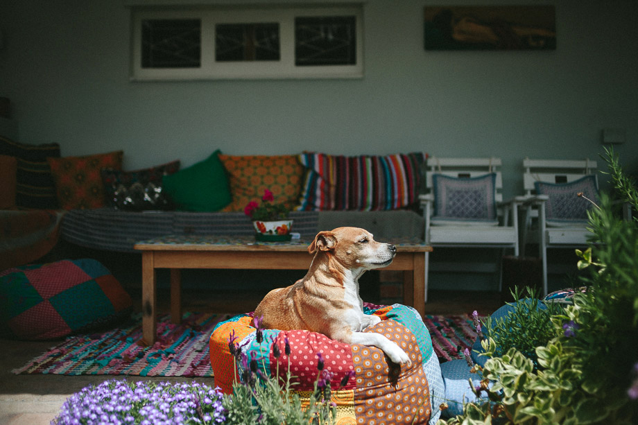 Jani B Documentary Wedding Photographer Cape Town-13