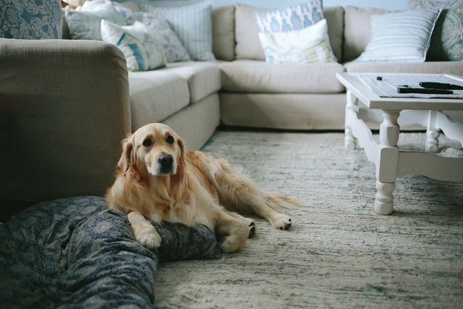 Jani B Documentary Wedding Photographer Cape Town-40