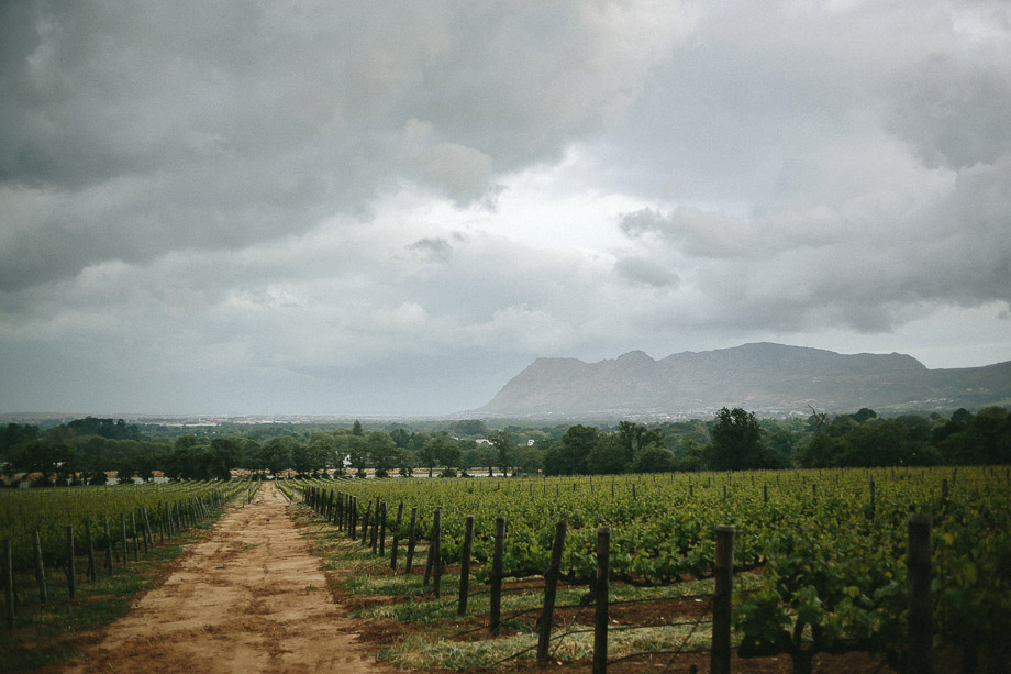 Jani B Documentary Wedding Photographer Cape Town-93