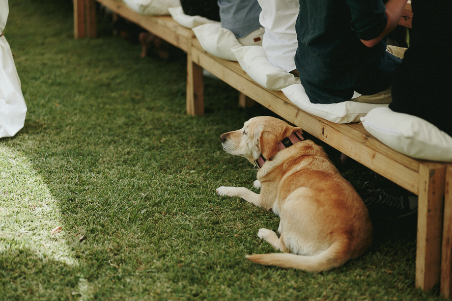 Documentary Wedding Photographer Cape Town Jani B-95