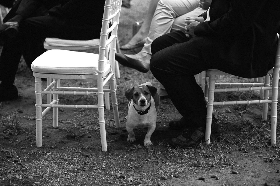 Franschhoek Documentary Wedding Photography Cape Town Jani B-33