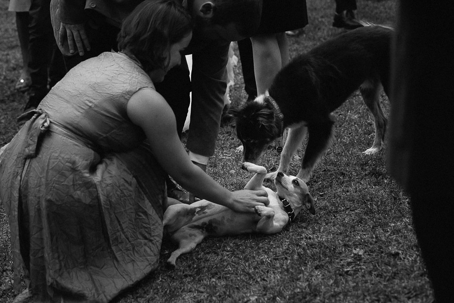 Franschhoek Documentary Wedding Photography Cape Town Jani B-36