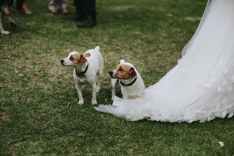 Franschhoek Documentary Wedding Photography Cape Town Jani B-38