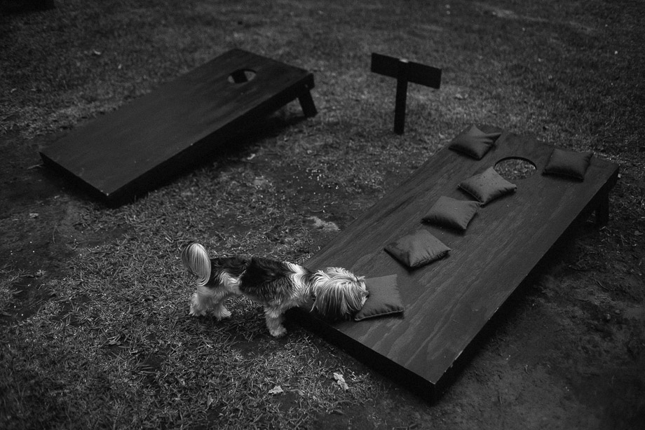 Franschhoek Documentary Wedding Photography Cape Town Jani B-49