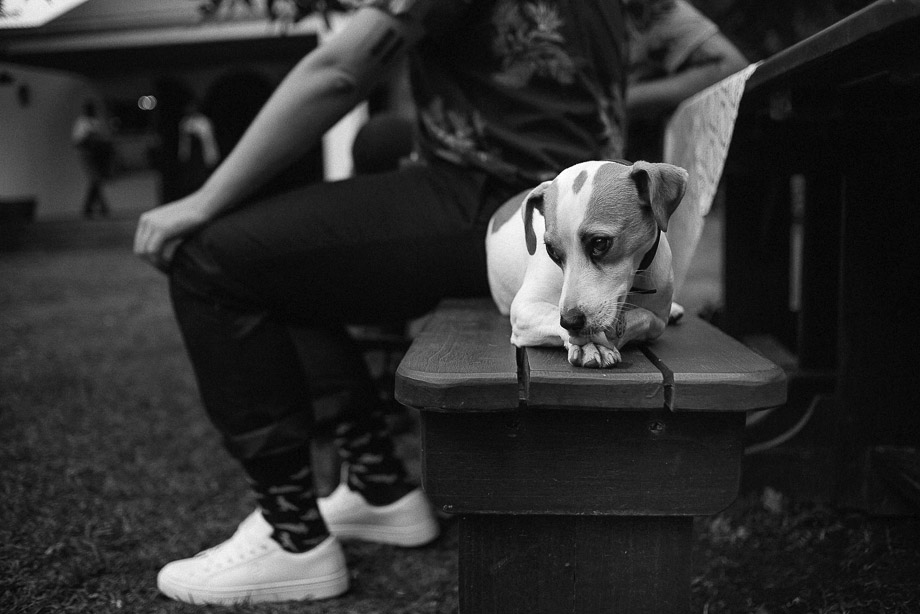 Franschhoek Documentary Wedding Photography Cape Town Jani B-50