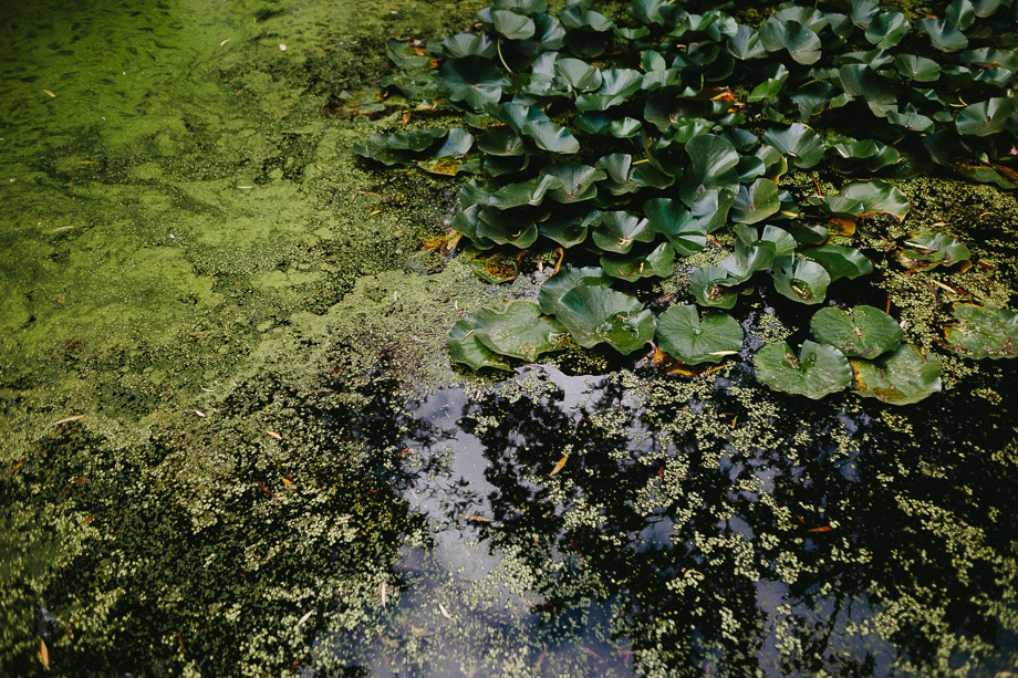 Jani B Cape Town Documentary Wedding Photographer Nooitgedacht Stellenbosch-3