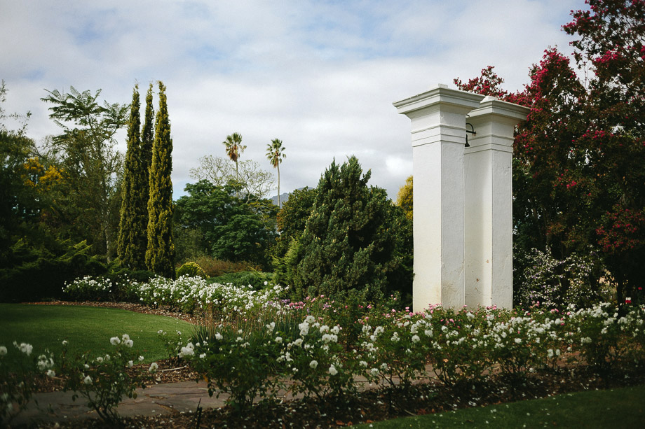 Jani B Cape Town Documentary Wedding Photographer Nooitgedacht Stellenbosch-5
