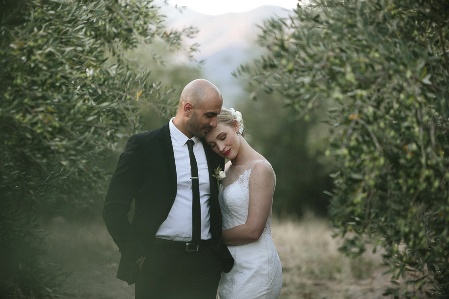 Saronsberg Documentary Wedding Photographer Jani B Emotive Photography-74