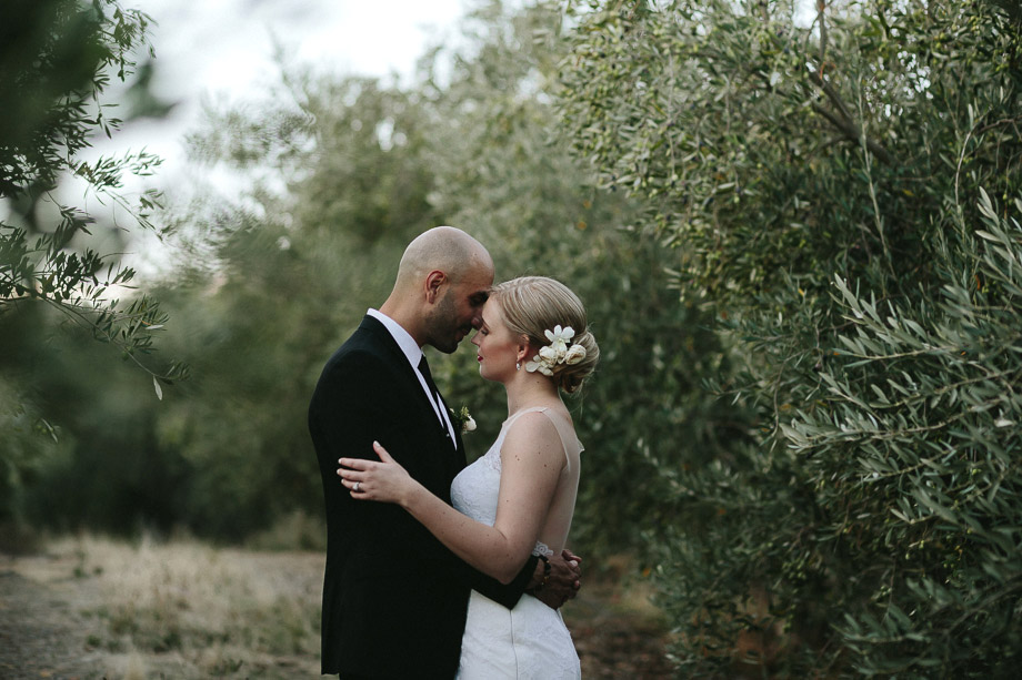 Saronsberg Documentary Wedding Photographer Jani B Emotive Photography-75