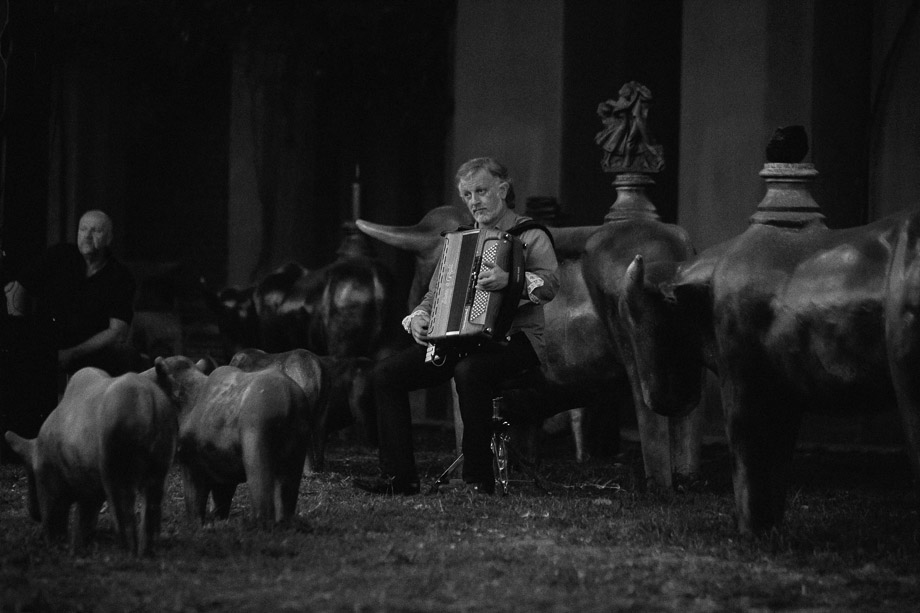 Saronsberg Documentary Wedding Photographer Jani B Emotive Photography-88