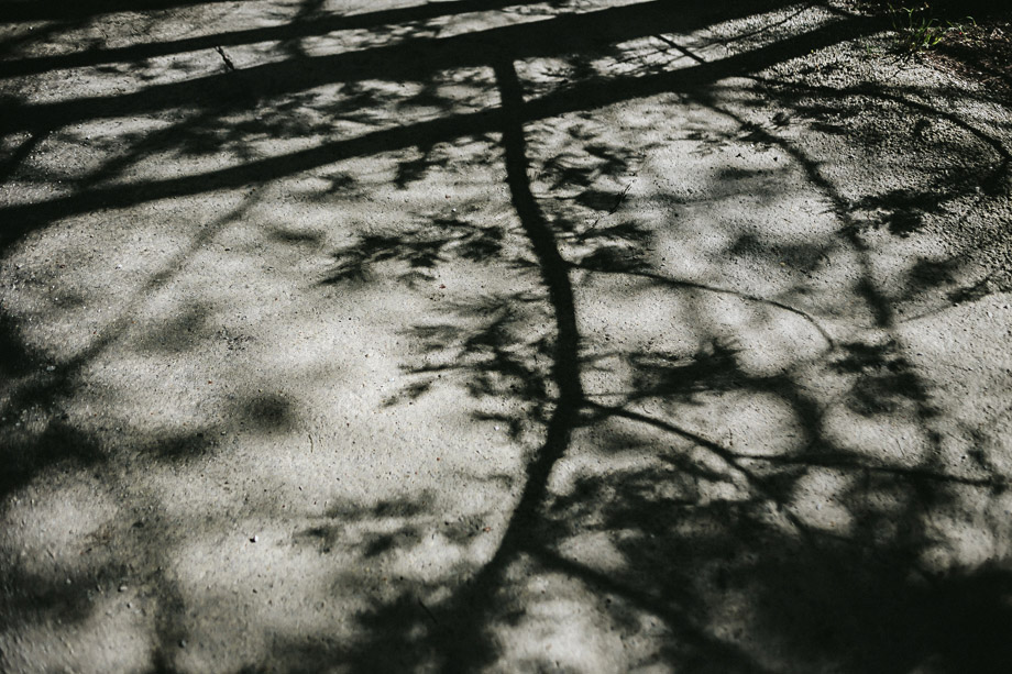 Jani B_ Die Woud_ Overberg Documentary Wedding Photographer_ Cape Town Wedding Photographer-6