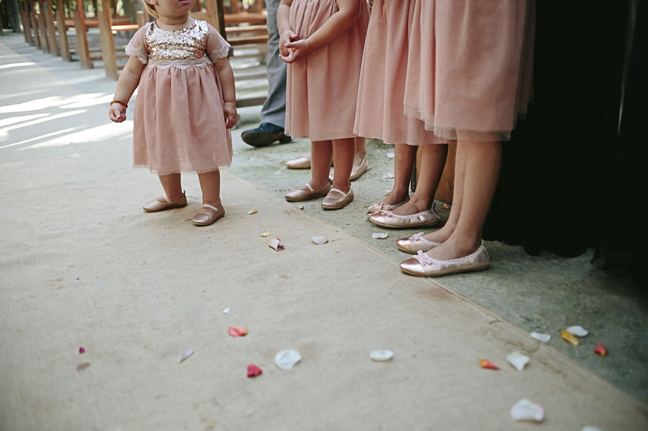 Jani B_ Die Woud_ Overberg Documentary Wedding Photographer_ Cape Town Wedding Photographer-74