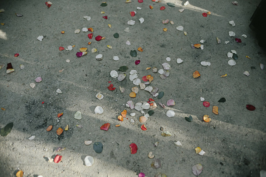 Jani B_ Die Woud_ Overberg Documentary Wedding Photographer_ Cape Town Wedding Photographer-77